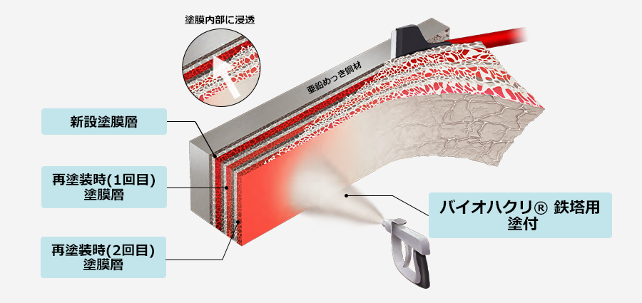 バイオハクリ鉄塔用の塗膜への浸透イメージ図
